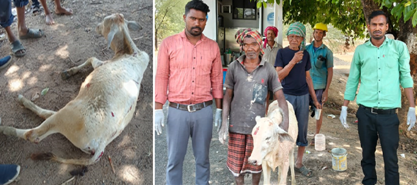 1962 Chhattisgarh Mobile Veterinary Services - Image 3
